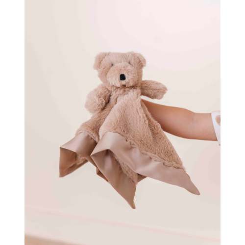 Bear Hugs Minky Lovey