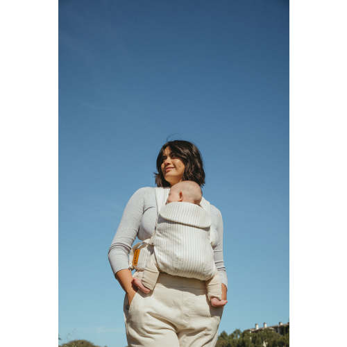 Swan - Aerial Carrier – WildBird