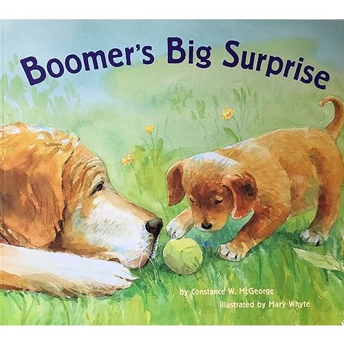 Boomer's Big Surprise Paperback – January 1, 1999