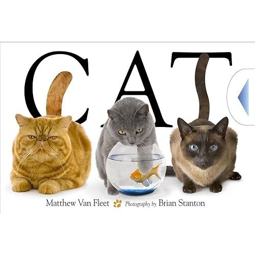 Cat Novelty Book – Lay Flat, February 10, 2009