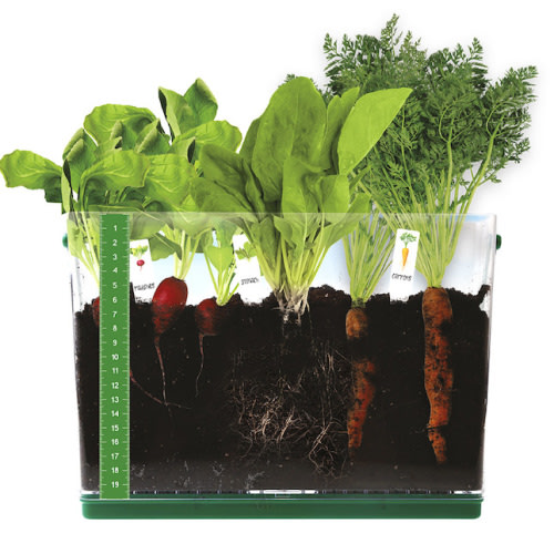 Grow & See Vegetable Garden