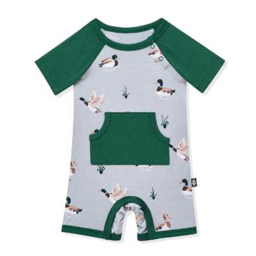 Shortall in Mallard Duck