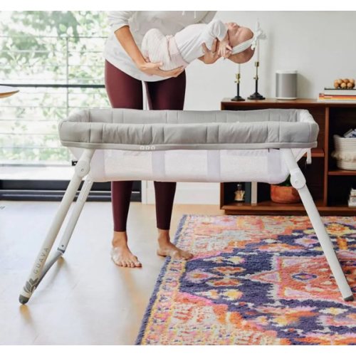 Lotus Everywhere Crib to Bassinet Conversion Kit – Guava Family - Google Shopping