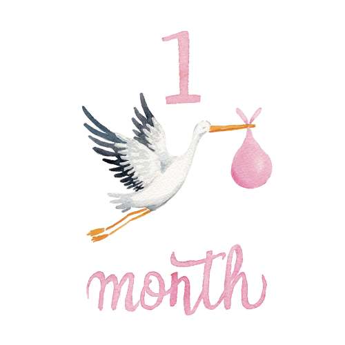 Baby Girl Monthly Milestone Cards