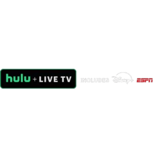Disney+ Subscription