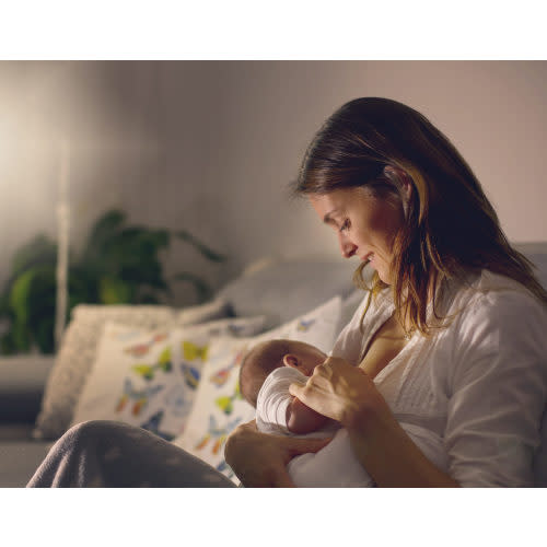 Lactation Consultant (IBCLC) Fund