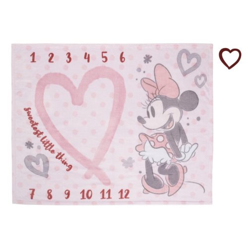 Disney NoJo Disney Minnie Mouse Super Soft Milestone Baby Blanket | Wayfair