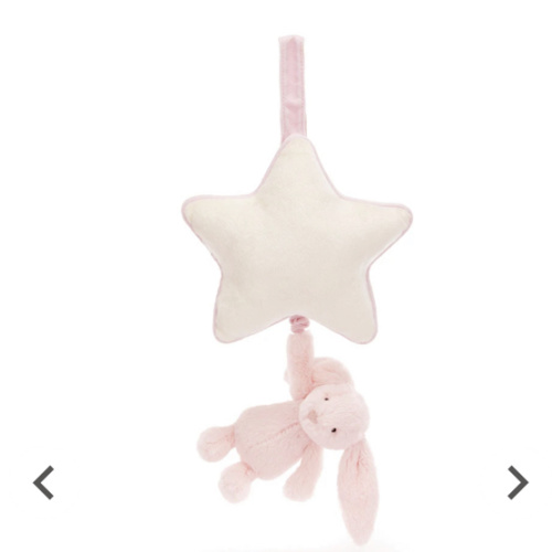 Bashful Bunny Musical Pull