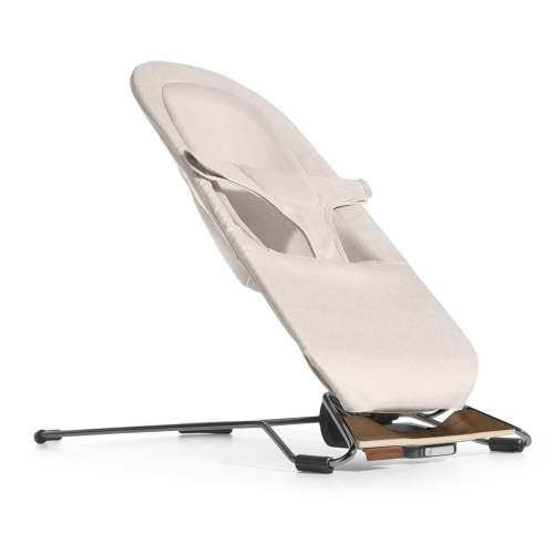 Mira 2-in-1 Bouncer & Seat - Charlie