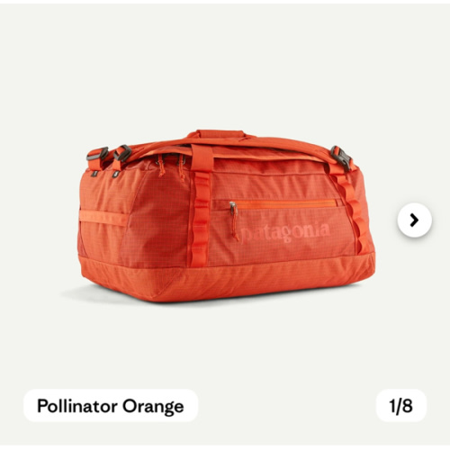 Patagonia Black Hole® Duffel Bag 40L | Patagonia MX