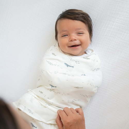 HALO Swaddle Cotton Tog 1.5, Ocean Life, Small