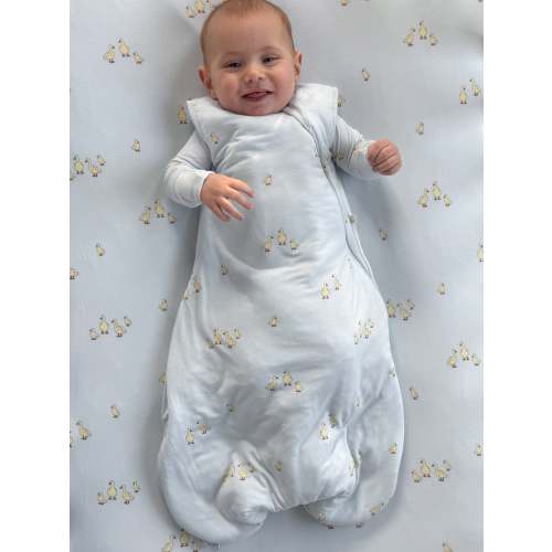 Transitional Swaddle Sleep Sack - Friends / 0.5 TOG