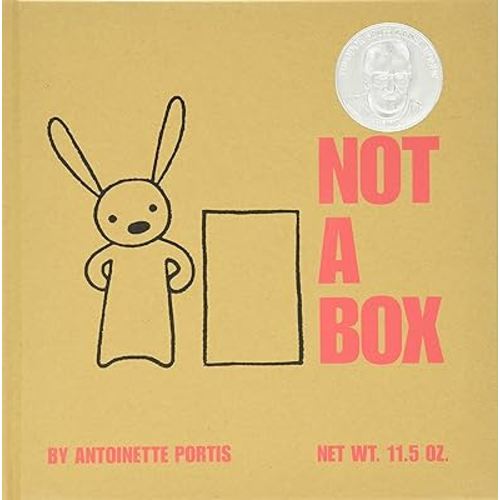 Not a Box: A Celebration of the Power of Imagination