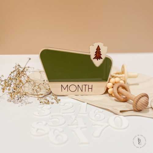 Interchangeable National Park Monthly Milestone Discs For Baby Photos