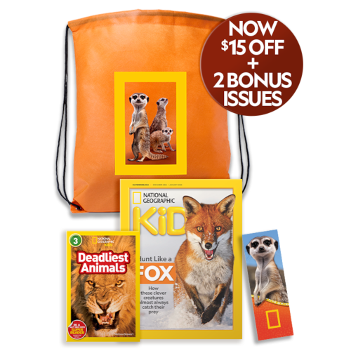 National Geographic Magazine Subscriptions | National Geographic