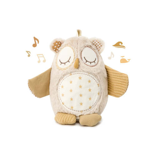 Nighty Night Owl™ Smart Sensor