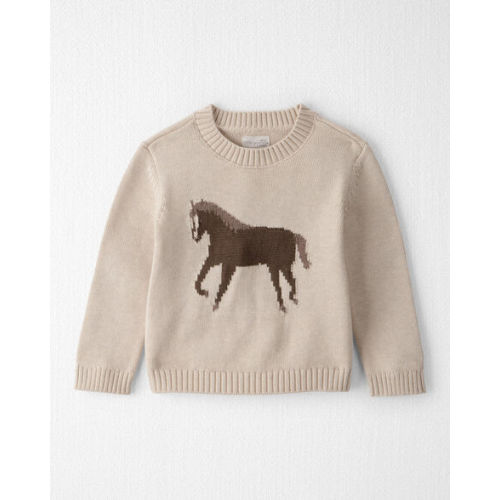 Toddler Organic Cotton Horse Sweater Knit Pullover - Little Planet | Carter's