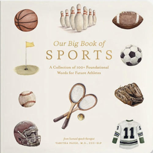 Our Big Book of Sports