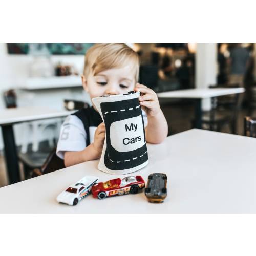 Travel Toy for Toddlers, Boy Travel Toy, Car storage, car organizer, eco-friendly toys, on the go, pretend play, organic toys, quiet play