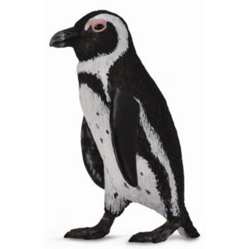South African Penguin #88710 (CollectA)