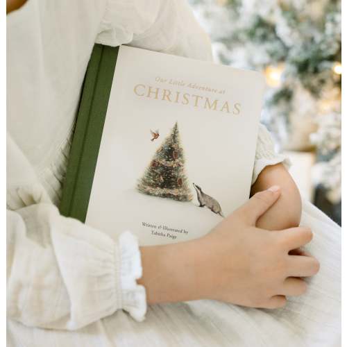 Our Little Adventure at Christmas - Tabitha Paige