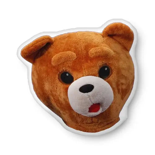 Bearhead Pillow — Danny Go!