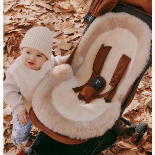 The Pram Puff | Border Biscuit & Crème