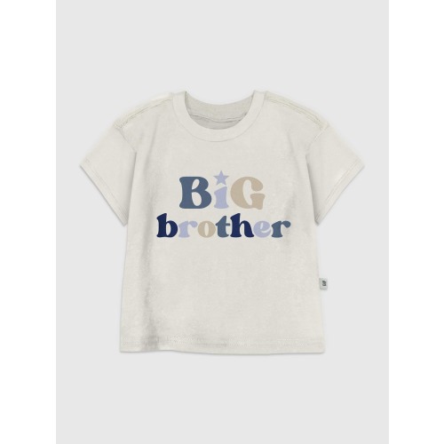 Toddler Big Brother Graphic T-Shirt