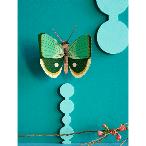 Fern Striped Butterfly - Studio ROOF