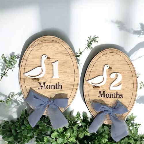 Silly Goose!* Monthly Milestones