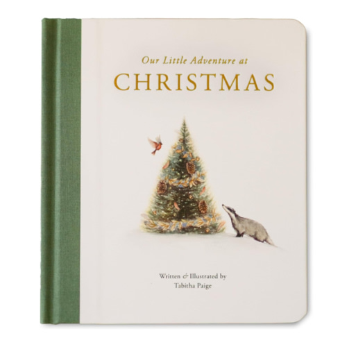 Our Little Adventure at Christmas: Featuring Foundational Language Concepts and Lessons on the Joy of Giving (Tabitha Paige Children's Book Series)