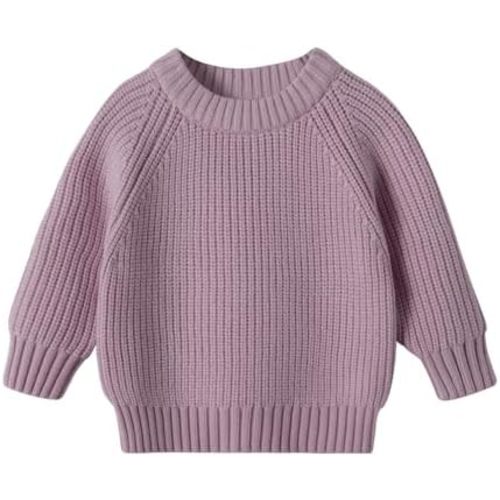 YOUNGER STAR Toddler Baby Girls Boys Knit Sweater Pullover Long Sleeve Sweatshirt Fall Winter Clothes