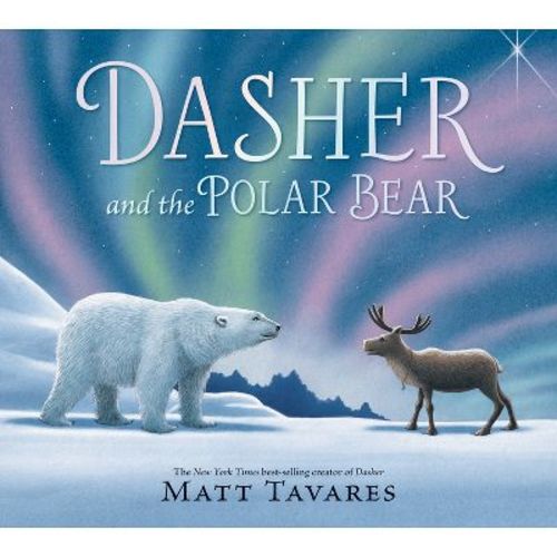 Dasher and the Polar Bear - by Matt Tavares (Hardcover)
