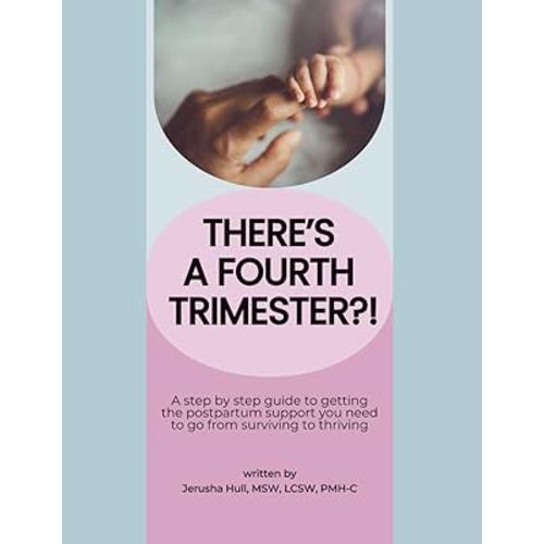 There's a Fourth Trimester?!: A step by step guide to getting the postpartum support you need to go from surviving to thriving