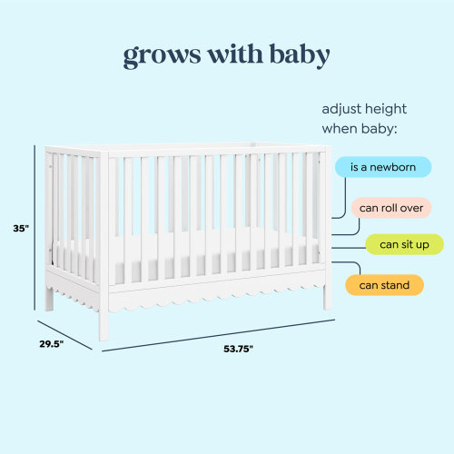 daVinci Sammy Scallop 4-in-1 Convertible Crib & Reviews | Wayfair