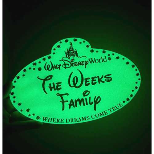 Disneyland/DisneyWorld Castmember Name Tag Stroller Tag