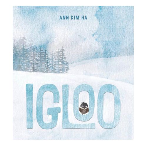 Igloo: A Home Built from Kindness and a Giant Snowball