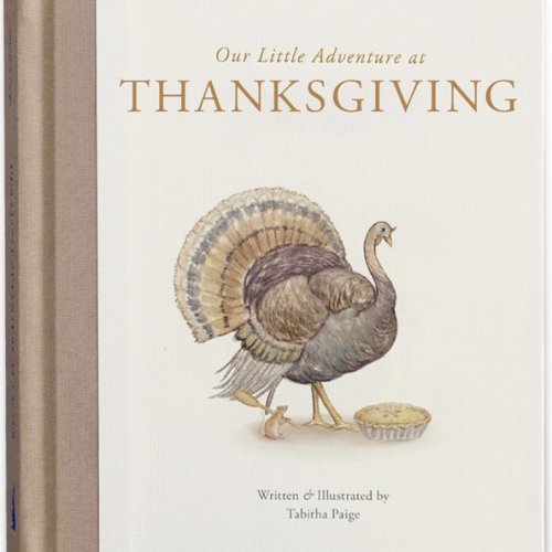 Our Little Adventure at Thanksgiving: Featuring Foundational Language Concepts and Lessons on Gratitude (Tabitha Paige Children's Book Series)