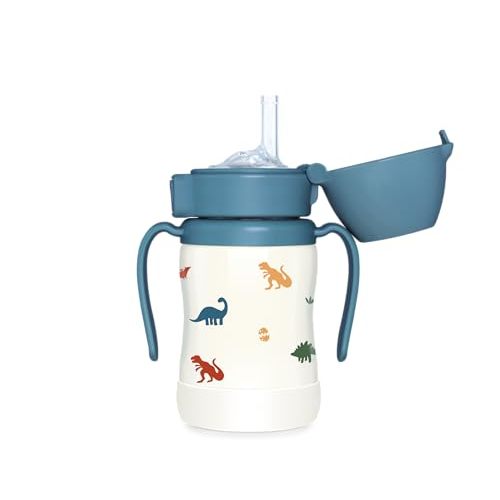 GROSMIMI Insulated 316 Stainless Steel Spill Proof Straw Cup, Water bottle with Flip Top for Toddlers, BPA Free (Dinosaur, 6oz)