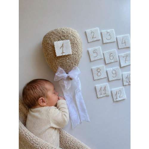 Baby Milestone Balloon Set Cards, Monthly Photo Prop, Newborn Photography Decor, First Year Tracker, Neutral Nursery Gift, Baby Shower Idea