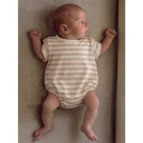 Biscuit Stripe / Organic T-Shirt Bubble