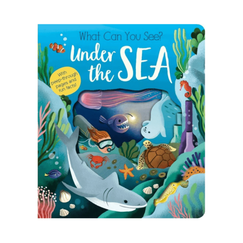 What Can You See Under the Sea? - Book