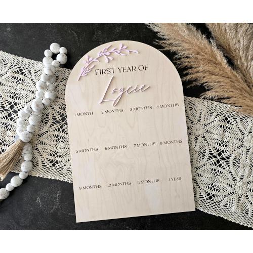 My First Year Photo Sign, First Year Photo Board, Acrylic Milestone Board, 1st Birthday, First Birthday, Baby&#39;s First Year Picture Frame