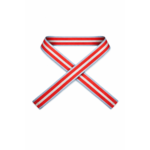 PARK BAG STRAP – citymouse