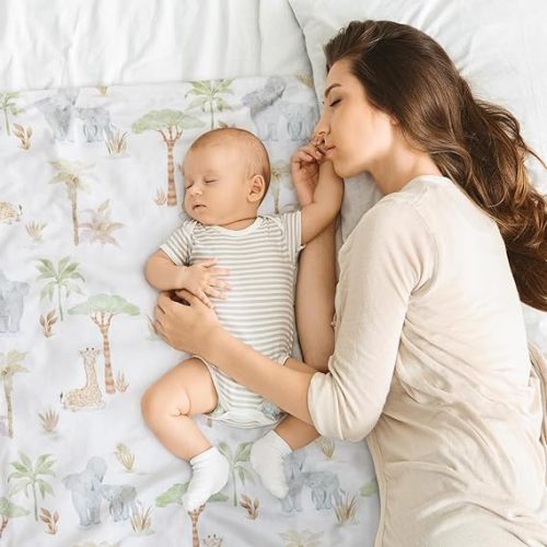 Baby Blankets for Boys Girls, Super Soft Nursery Minky Blanket Neutral with Print Brown Savanna Elephant and Cozy Raised Dotted Fleece Backing, 30 x 40 Inch Double Layer Bed Throws