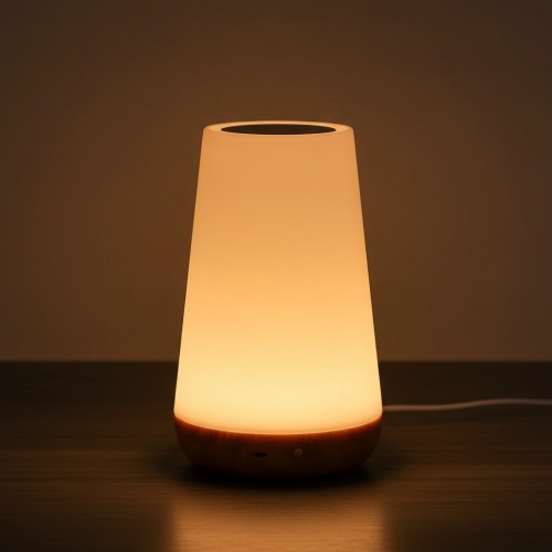 Mood Glow Touch Lamp