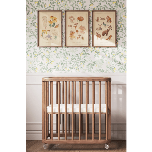 Nestig The Woodland Cloud 3–1 Crib