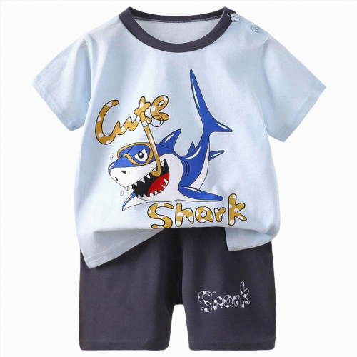 2 Pack Toddler Boys Short Sleeve T-Shirts 6-12 Months 12-24 Months 2T 3T 4T 5T 6T 7T Children Basic Cotton Tee Tops Toddler Boy Clothes 4-5 Years