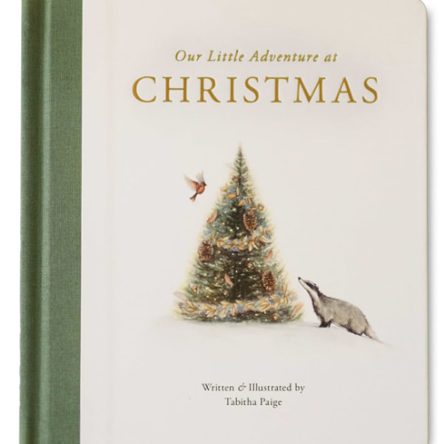 Our Little Adventure at Christmas: Featuring Foundational Language Concepts and Lessons on the Joy of Giving (Tabitha Paige Children's Book Series)
