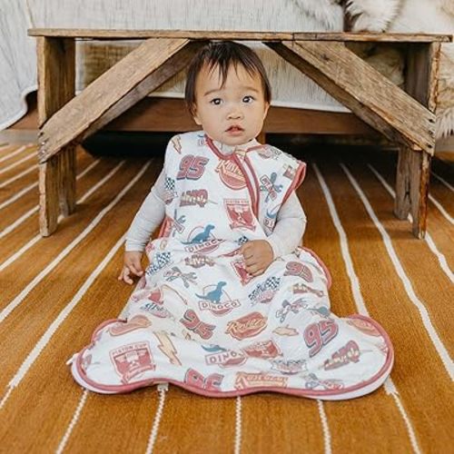 Copper Pearl Disney Pixar Bumper Stickers 1.0 TOG Sleep Bag 6-12mo